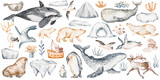 Watercolor arctic animals and ocean elements clipart. North pole wildlife, whale, seal, penguin, seaweed, iceberg. Hand drawn set for design.