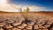 © Santos - Desolate Cracked Earth And Withered Plant Signify Devastating Drought Impacting Farmland And Water Resources