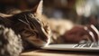 © Anastasiya - Cozy tabby cat napping with head on laptop while owner types, perfect warm home office scene for remote work concepts