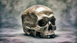 © Ananto - Detailed 3D model of a human skull, profile view.  A realistic, light beige skull is angled to the right. Visible teeth and bone texture