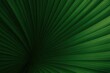 © MD - Detailed macro view of a vibrant green fan palm leaf texture, tropical plant close up, nature abstract