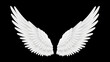 © Buch&Bee - Realistic white angel wings with feathers. 3d vector masquerade, festival or carnival costume. Realistic bird or angel wings. Isolated Freedom, spiritual fantasy, spiritual or mythological plumage