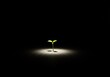 © Chanchai - A small light emerges from deep darkness, symbolizing the transition from profound sadness and loss towards renewal and brighter possibilities ,depression ,possibility ,grief