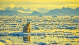 A photo of a solitary polar bear sitting on drifting ice in a serene Arctic landscape
