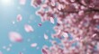© Sergiy - Pink cherry blossom petals gently float downwards from a vibrant blooming tree against a clear blue sky with a soft sun flare, heralding the arrival of spring.