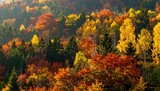 Scenic autumn landscape of colorful flower fields and forests on a mountain hill under the sky