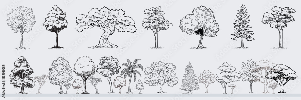 Tree Layout Lines Minimal style cad tree line drawing, Side view, set of graphics trees ...