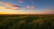 © logitech - Wide shot of a field of grass at sunset.  Soft focus on the grass