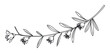 © Bravo - Delicate line drawing of a botanical branch with small flowers and leaves, perfect for floral graphics and naturethemed projects.