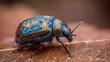 © alexandre - Stunning metallic iridescent beetle showcasing vibrant colors on a brown leaf