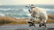 © COK House - A funny goat on a skateboard by the sea will make an original, atmospheric backdrop for children's magazines or entertaining articles.