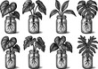 © 4Max - Vintage botanical plant sketches in glass jars with roots and monstera leaves