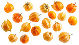 Floating Cape Gooseberries Collection Background.