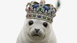 © AC's Inspired Images - seal wearing a gold ornate crown, queen or king crown, on a white background, animal photo
