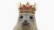 © AC's Inspired Images - seal wearing a gold ornate crown, queen or king crown, on a white background, animal photo