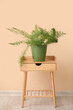 © Pixel-Shot - Table and houseplant near beige wall