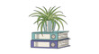 © Adnan - A cozy office or study scene featuring a green spider plant in a striped pot sitting on a stack of two ring binders.