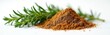 © Vadym - Fresh herb sprig next to pile of ground spice. Natural ingredient for cooking and seasoning. Aromatic plant used in culinary arts for flavour and aroma.