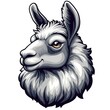 © Shamal - Grinning Llama Head Illustration with Grey Fur and Yellow Eye alpaca animal photo