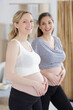 © auremar - two pregnant girlfriend looking at camera