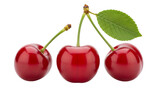 Three ripe dark red cherries with green stems and a single leaf on black background