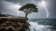 © Mrs - Dramatic lightning strikes illuminate a lone tree on a coastal cliff during a storm