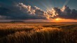 © horizon - Expansive agricultural landscape shows a ripe wheat field stretching to the horizon under a dramatic sunset with piercing sun rays.
