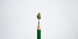 © vxnaghiyev - Cannabis flower placed on a pencil tip as part of drug education display, emphasizing substance use risks and prevention
