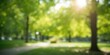 © vxnaghiyev - Blurred green bokeh background from natural trees in park setting, ideal for editorial header backgrounds