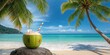 © vxnaghiyev - Tropical coconut water served with a straw on a rocky shore, highlighting natural refreshment and coastal environment, World Water Day
