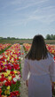© Krakenimages.com - Woman walking through colorful tulip field in lisse, netherlands on a sunny day, surrounded by vibrant flowers, wearing white dress, capturing the essence of spring and nature.