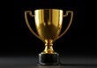 © retirementfun - Brightly polished gold award cup representing excellence and the pinnacle of success after intense competition and dedication ,championship ,celebratory ,maximum