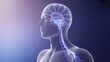 © Hamza - Digital illustration of human brain anatomy in colour background. 3D rendering