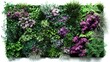 © EBBE - A stunning aerial perspective showcasing a flower bed with textured grasses.