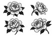 © 4Max - Elegant black and white floral peony set for design and decoration