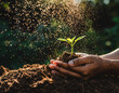 © Novik - Hands gently holding rich soil with a young green seedling, illuminated by warm sunlight and surrounded by soft forest bokeh, symbolizing growth, sustainability, and environmental care