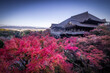 © Travel 'n' Lifestyle - View of a traditional Japanese temple rises above a sea of vibrant red and pink autumn foliage under a clear blue sky, Kyoto, Kyoto, Japan.