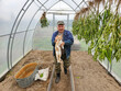 © Pavel Losevsky - Man holding a cat in a greenhouse. The cat is orange and white. The man is wearing a blue jacket