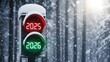© Helen - Traffic light shows 2025 red and 2026 green in snowy forest setting