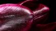 © SHI - A macro shot of ruby tulip petals