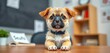 © DITSARAPHAN - An adorable puppy in a miniature business setting, looking smart and engaging, ready to present Focus on its intelligent expression and posture,  workshop,  intelligent