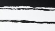 © HecoPhoto - Torn black and white paper texture