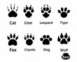 © Raju - Animal paw prints a comparative illustration of different species tracks