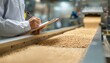 © ЮРИЙ ПОЗДНИКОВ - Worker in white lab coat is inspecting cereal production line, taking notes on clipboard while observing the discharge chute spreading cereal evenly