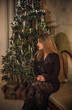 © T.Den_Team - Elegant lady at Christmas eve. Woman at party, holidays concept