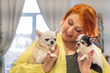 © Silga - Woman with vibrant red hair joyfully holding two small chihuahuas in a cozy indoor setting, showcasing the bond between pets and their owner in a warm atmosphere