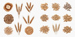 © studio - Set of wheat ears, grains, and flour circles, hand-drawn vector illustration for agriculture and baking.