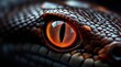 © Anna - Close-up view of reptile eye with textured scales on dark background. Zoomed in on a reptile's eye, revealing the detailed scales set against a dark background.