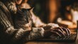 © Anastasiya - Close-up of sleeping cat by keyboard in golden sunlight, peaceful moment illustrating work from home and pet companionship