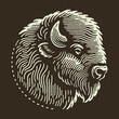 © makmur - Detailed Bison Head Illustration on Dark Background.